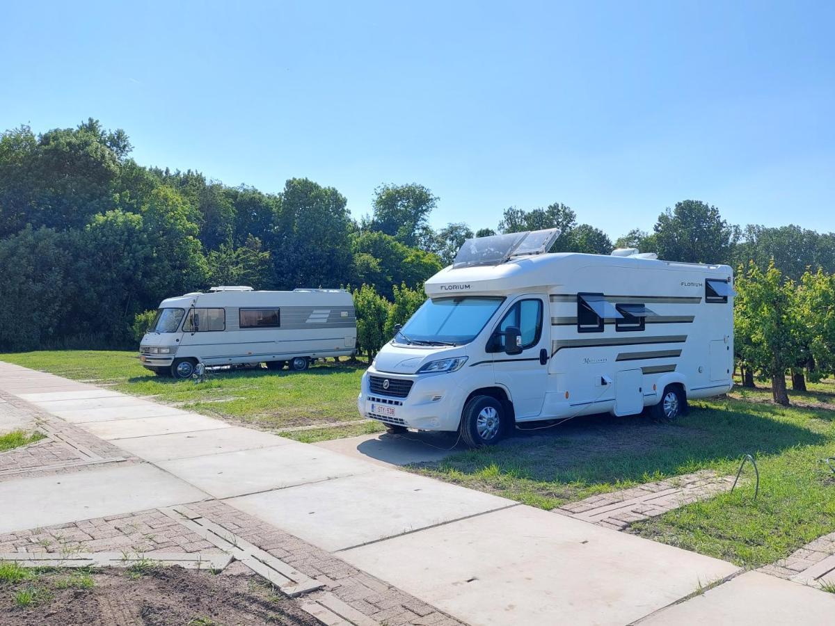 Voormalig Strandhuisje In Boomgaard In Hengstdijk Villa Exteriör bild